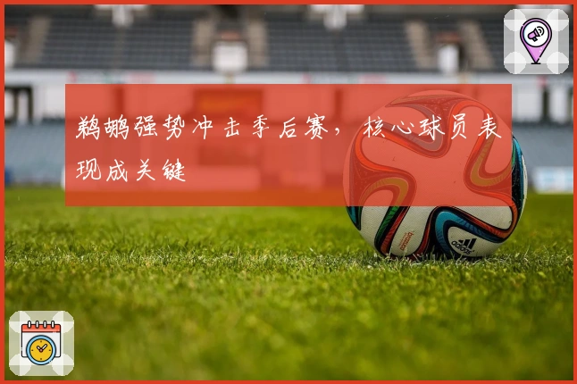 鹈鹕强势冲击季后赛，核心球员表现成关键