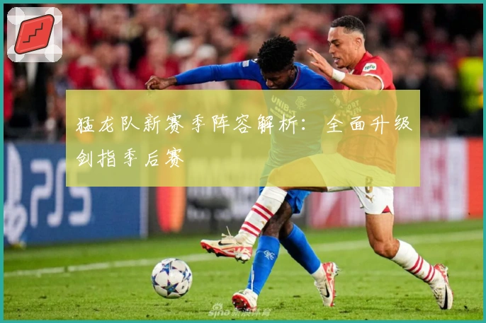 猛龙队新赛季阵容解析：全面升级剑指季后赛