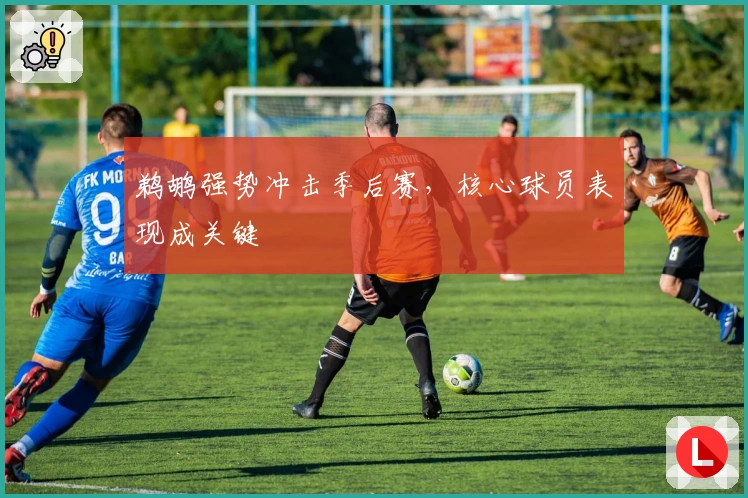 鹈鹕强势冲击季后赛，核心球员表现成关键